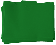 Learn more aboutLLI Green Lesson Folders (10 pack)