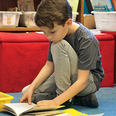 Learn more aboutTeachers College Reading and Writing Project Classroom Library, Grade 2, Below Benchmark